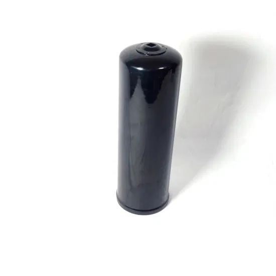 High Quality Replacement Sany Construction Machinery Filter 60212876 Fuel Filter